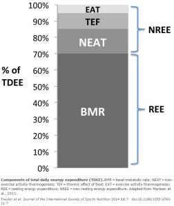 TDEE Chart